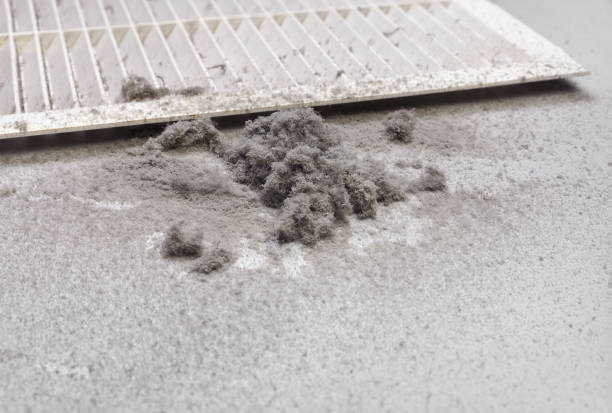 Best Ventilation Cleaning Services  in Olean, NY