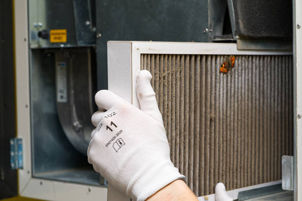 Best HVAC System Cleaning  in Olean, NY